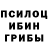 Псилоцибиновые грибы MAGIC MUSHROOMS Noob Commander
