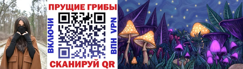 закладка  кракен как зайти  Псилоцибиновые грибы Psilocybine cubensis  нарко площадка формула  Солнечногорск 